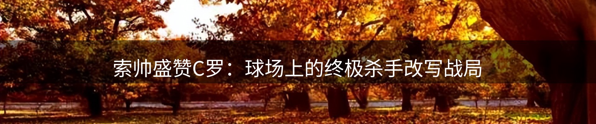内页banner