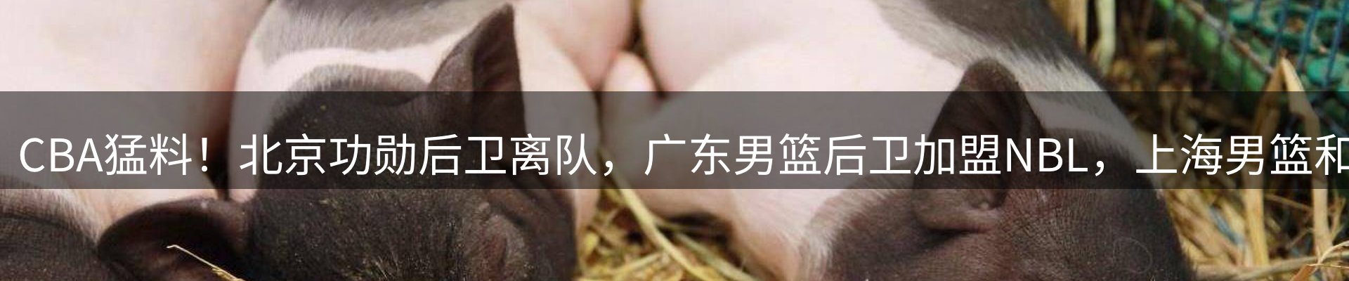 内页banner